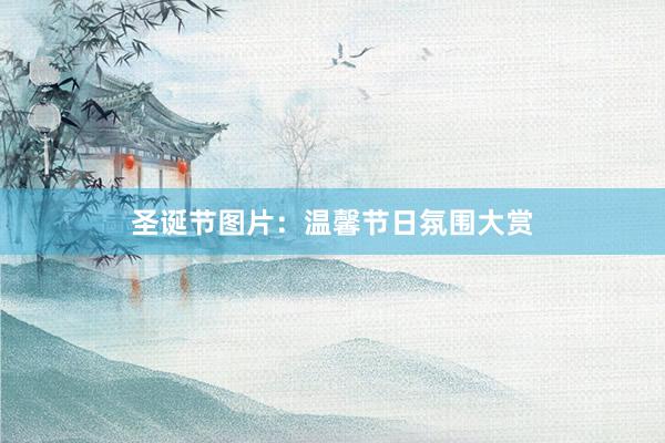 圣诞节图片：温馨节日氛围大赏
